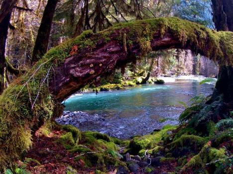 Washington State